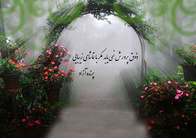 !ذوق پرورش نمی یابد مگر با تماشای زیبایی! مرکز تخصص یوگا پرنده آزاد استان البرز!